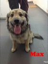 Max