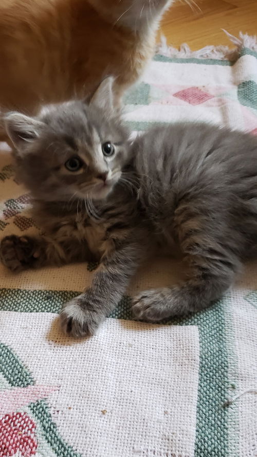 Charlie