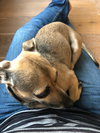 Twyla
