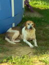 Duke