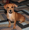 Lucy