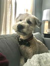 Winston