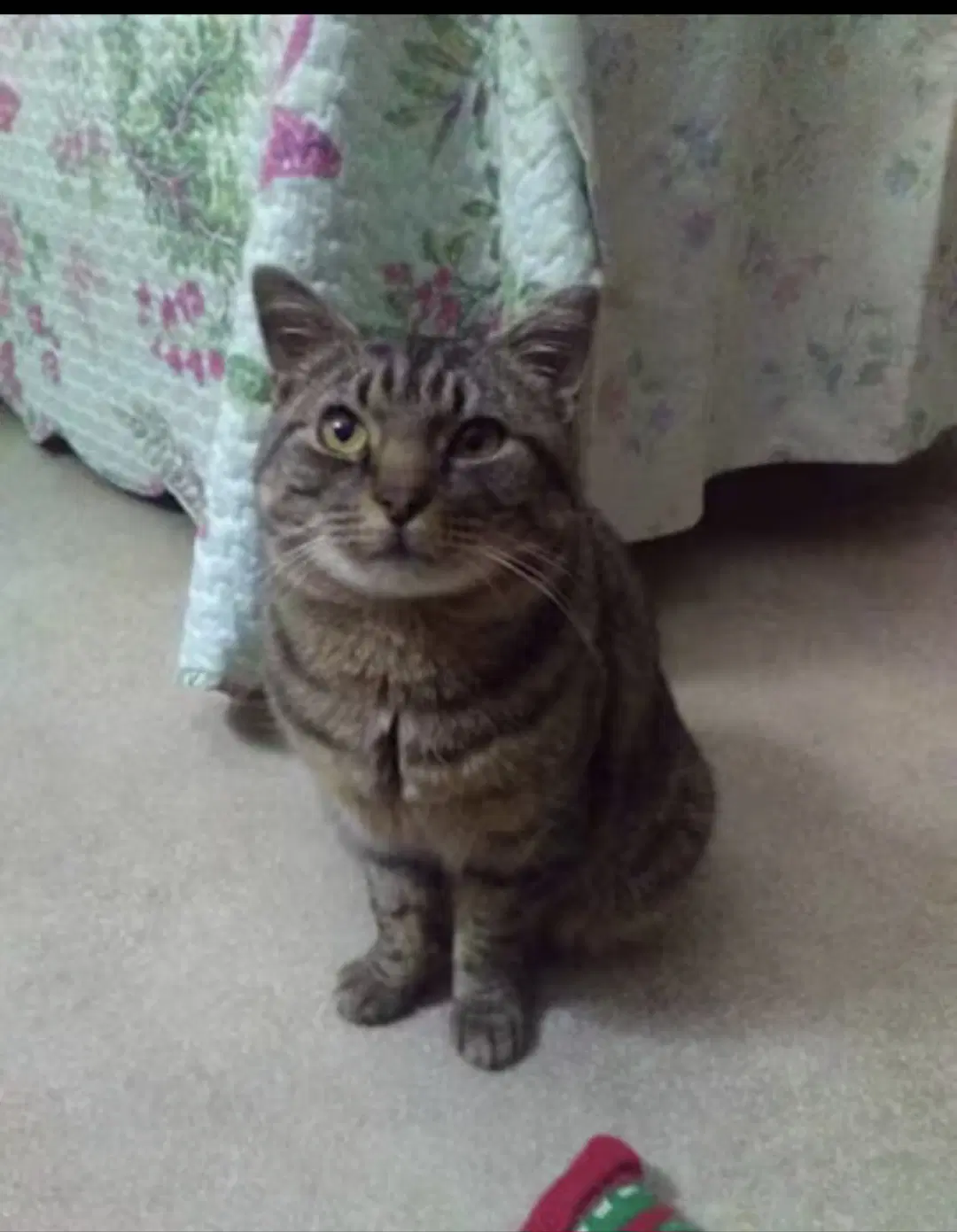 Sybil image 3