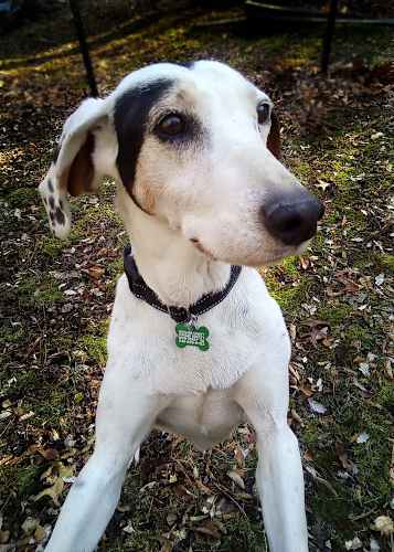 Patch