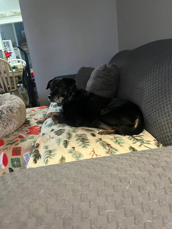 Chloe