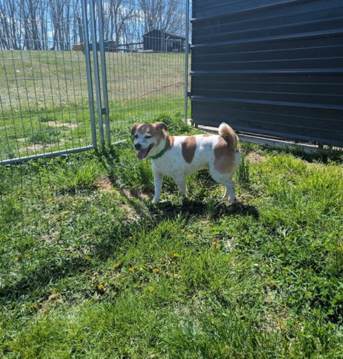 Radar, photo 3