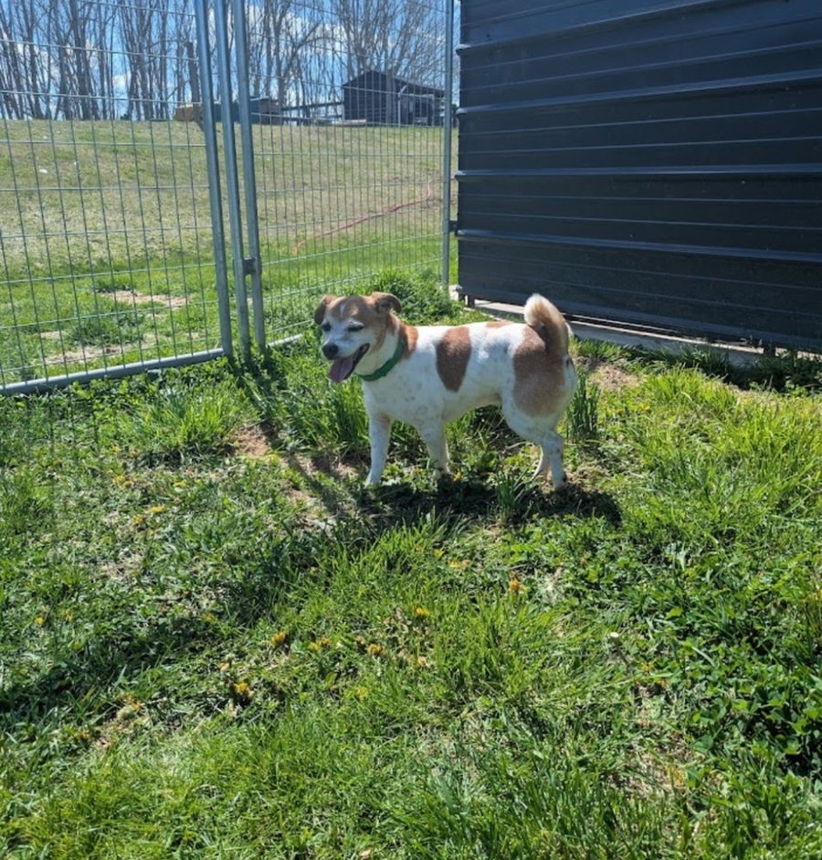Radar