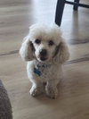 Kai - Photo 2