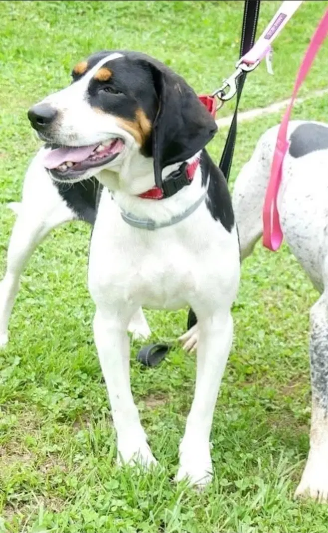 Daisy May image 2