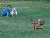 Puppy Zoom