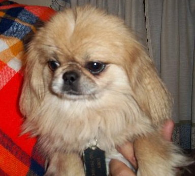 Toby Peke