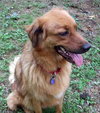 Colby
