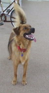 Colby