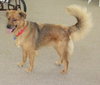 Colby