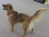 Colby
