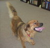 Colby