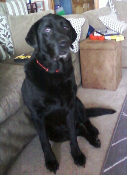 Artie