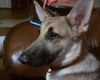 Athena