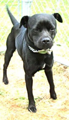 Charlene