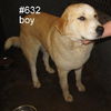 Bugsy2