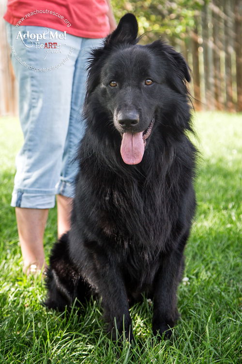 Tuffy