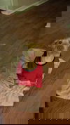Clay