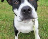 Josie - Photo 2
