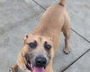 Huck - Photo 4