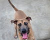 Huck - Photo 5