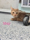 May - Photo 1