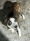 Lennox - Photo 2