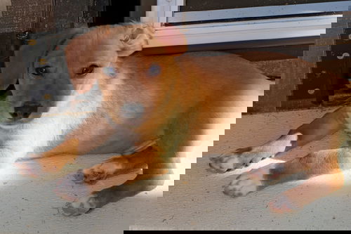 Flip
