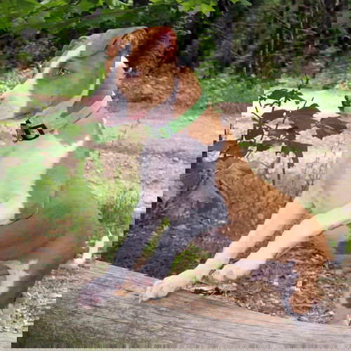 Ben