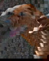 Finnick