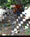 Houdini