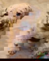 Zilly