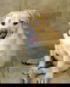 Zilly