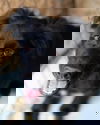Zuggy