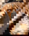 Winnie