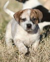 Winifred