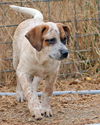 Winifred