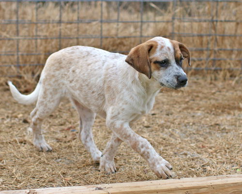 Winifred