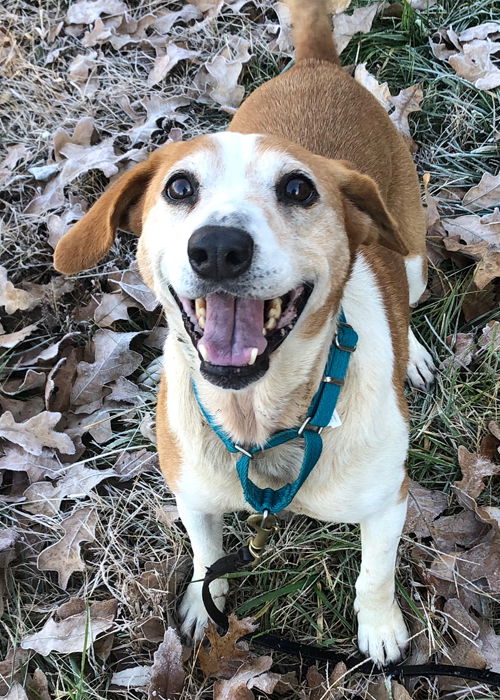 Delilah