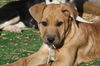 Hutch