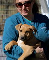 Hutch