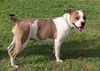 Lena