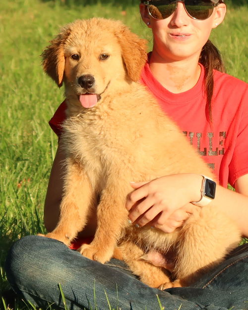 Wilbur