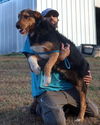 Shamus