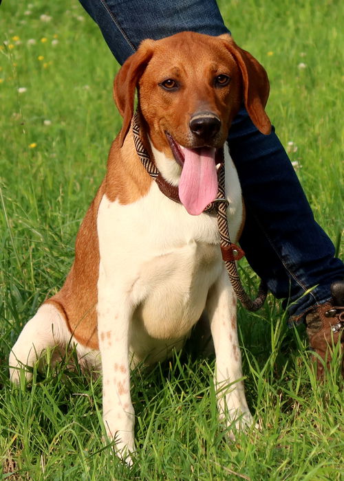 Gus