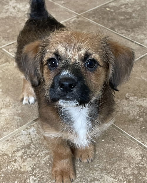 Chiquita